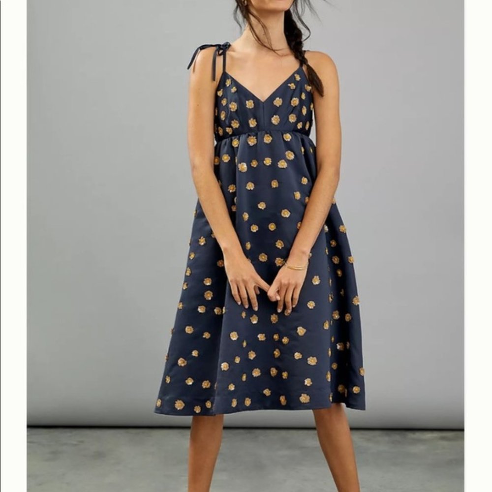 ISO Anthropologie Calysta Dress